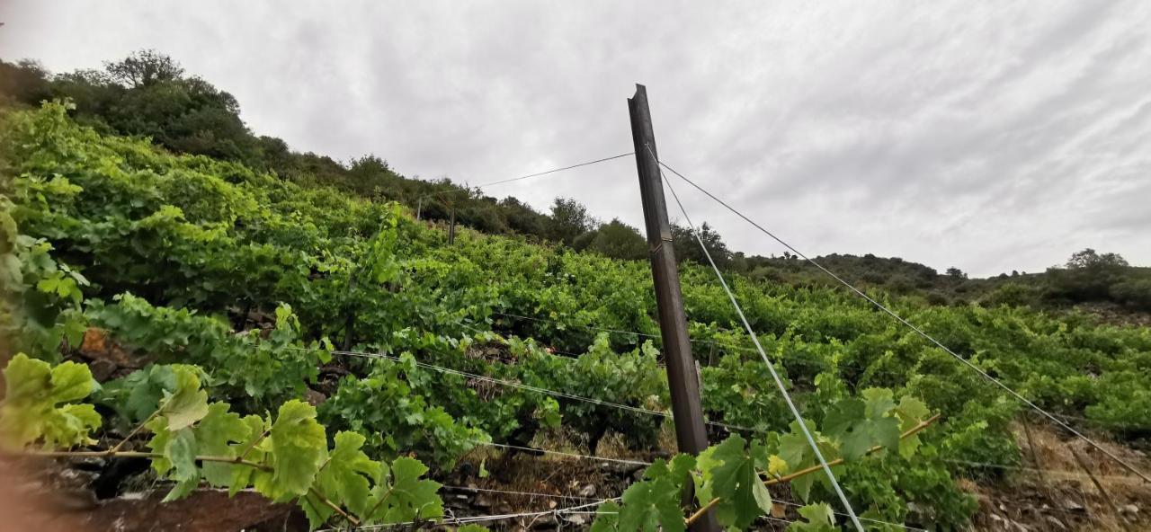 소베르 Vina Cazoga 빌라 외부 사진