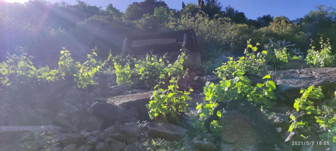 소베르 Vina Cazoga 빌라 외부 사진
